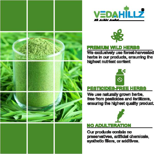 Vedahillz WheatGrass Leaf Powder for Energy and Detox Made from Selected Fresh WheatGrass